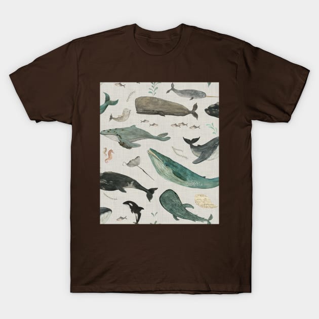 Whale (gray) T-Shirt by katherinequinnillustration